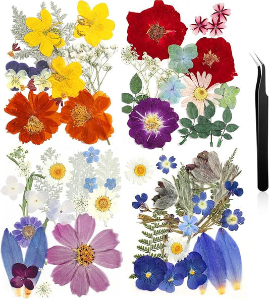 Nuanchu Pressed Flowers Bulk Dried Flower for Crafts, Dried Wildflowers Leave Natural with Tweezer for Resin Mold Scrapbooking Nail Soap Making DIY(Exquisite Style,Bright Color)
