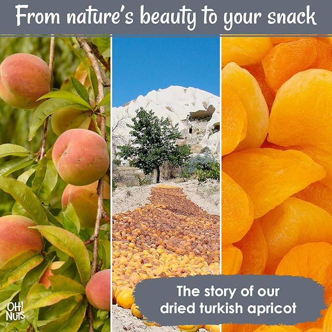 Oh! Nuts Dried Apricots Turkish - 2 lb - Dried Fruit - No Sugar Added - Dehydrated Fruit Bites - Packed in New York Zip-Seal Bag for Exceptional Freshness