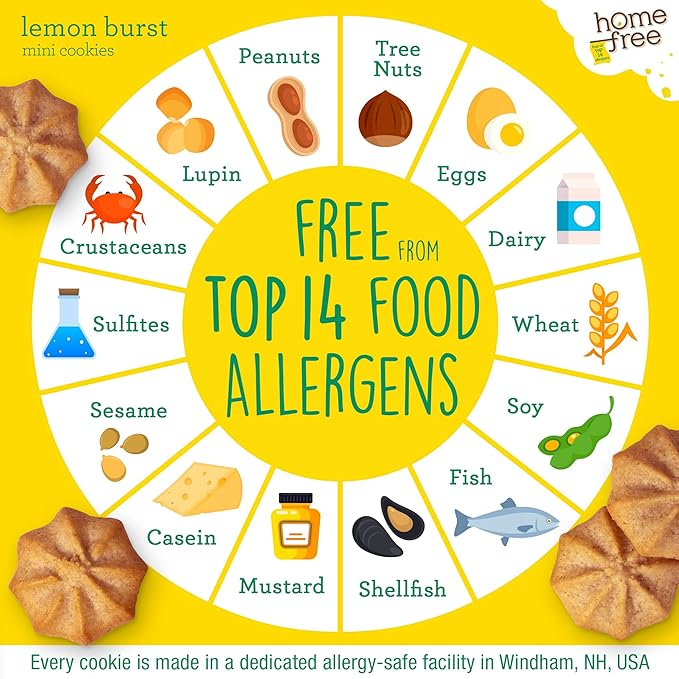 Homefree Treats You Can Trust Gluten Free Mini Cookies, Single Serve, Lemon Burst, 1.0 Ounce (Pack of 10)??,<div>