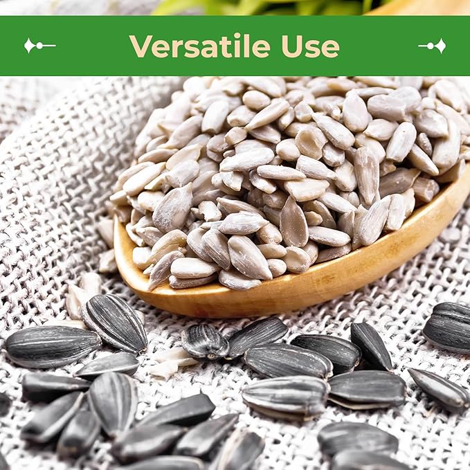 Sincerely Nuts Organic Sunflower Seed Kernels Raw (No Shell) (3lb bag) | Nutritious Antioxidant Rich Superfood Snack | Source of Protein, Fiber, Essential Vitamins & Minerals | Vegan and Gluten Free