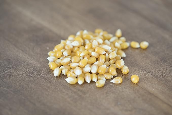 Amish Country Popcorn | 2-14 oz Bottles | Medium Yellow Popcorn Kernels | Old Fashioned, Non-GMO and Gluten Free (2-14 oz Bottles)