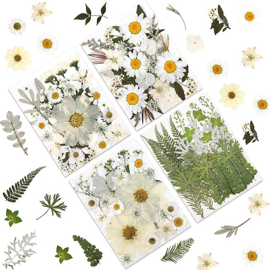 100P White Foliage & Flower Mix Dried Flowers for Crafts, Real Natural Pressed Flowers for DIY Crafts, Resin Jewelry, Candle Art & Scrapbooking Crafts – Tweezers Included