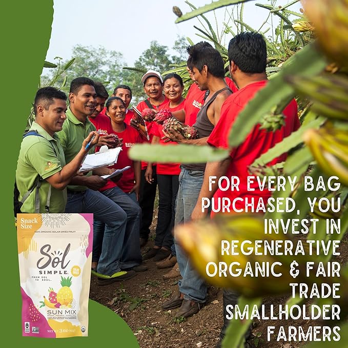 SOL SIMPLE Organic Dried SUN MIX | 3oz Snack Pack (3 Bags Total) | Three Ingredients | Vegan | Non-GMO | No Added Sugar | Fair Trade | Dried Fruit No Sugar Added