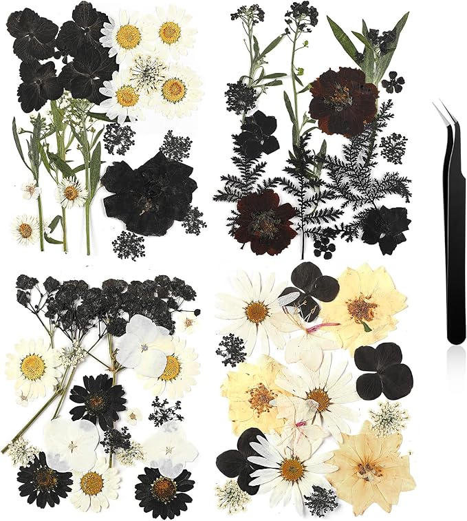 Nuanchu Pressed Flowers Bulk Dried Flower for Crafts, Dried Wildflowers Leave Natural with Tweezer for Resin Mold Scrapbooking Nail Soap Making DIY(Austere Style,Black Color)