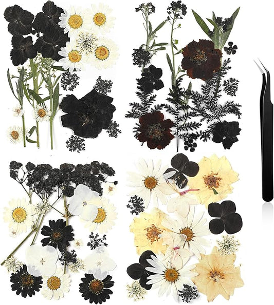 Nuanchu Pressed Flowers Bulk Dried Flower for Crafts, Dried Wildflowers Leave Natural with Tweezer for Resin Mold Scrapbooking Nail Soap Making DIY(Austere Style,Black Color)