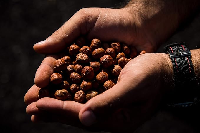 AZNUT Raw Hazelnuts Filbert Nuts, Shelled, Gluten Free, Fresh, Premium Quality 100% Natural Non-GMO Project Certified, Kosher Certified, Great Snacks, Resealable Bag 1 LB
