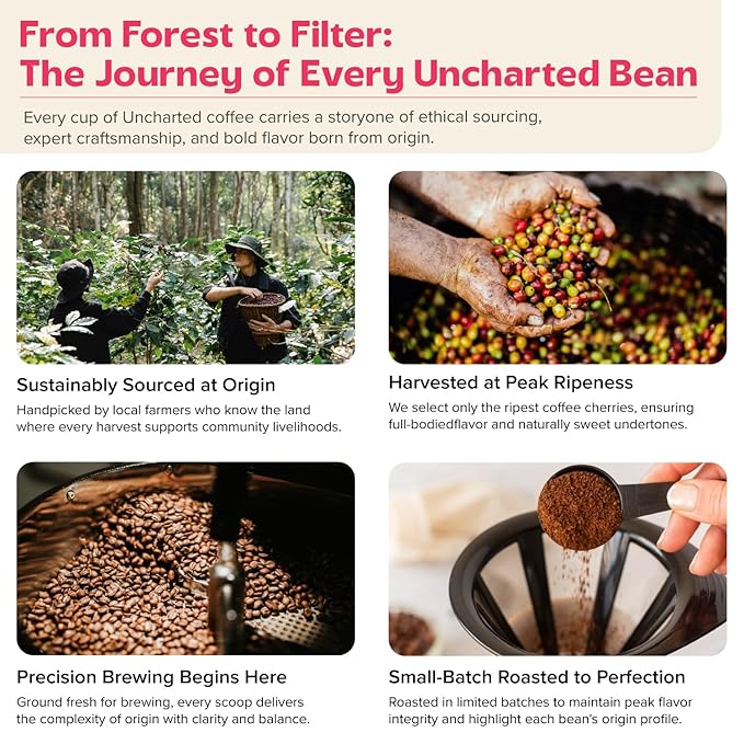 Single-Origin Organic Coffee Beans Gift Box, Light, Medium or Dark Roast Organic Whole Bean Coffee, 3 Pack Explorer, 1779 Costa Rica by Uncharted Coffee
