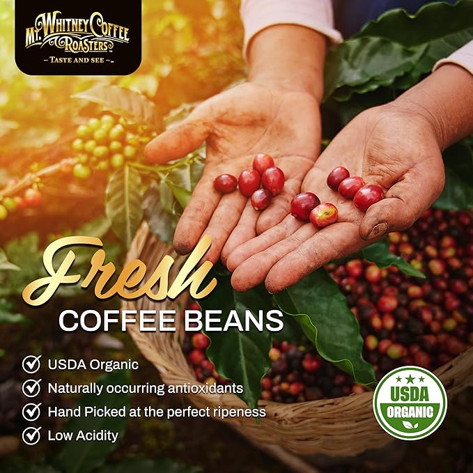 Mt. Whitney Base Camp Blend Whole Bean Coffee - Medium Dark Roast, Low Acid - 2 Pound (Pack of 1)