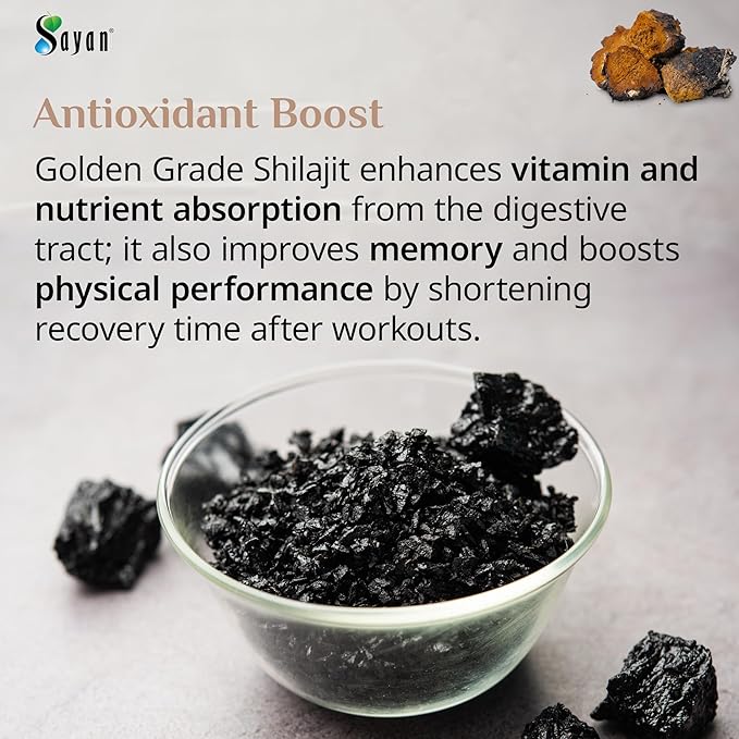 Sayan Siberian Chaga Mushroom Extract with Shilajit Powder (2 oz) ??Organic Antioxidant Tea ??Immune and Digestion System Support ??Fulvic Acid Supplement ??Energy & Clarity ??No Fillers