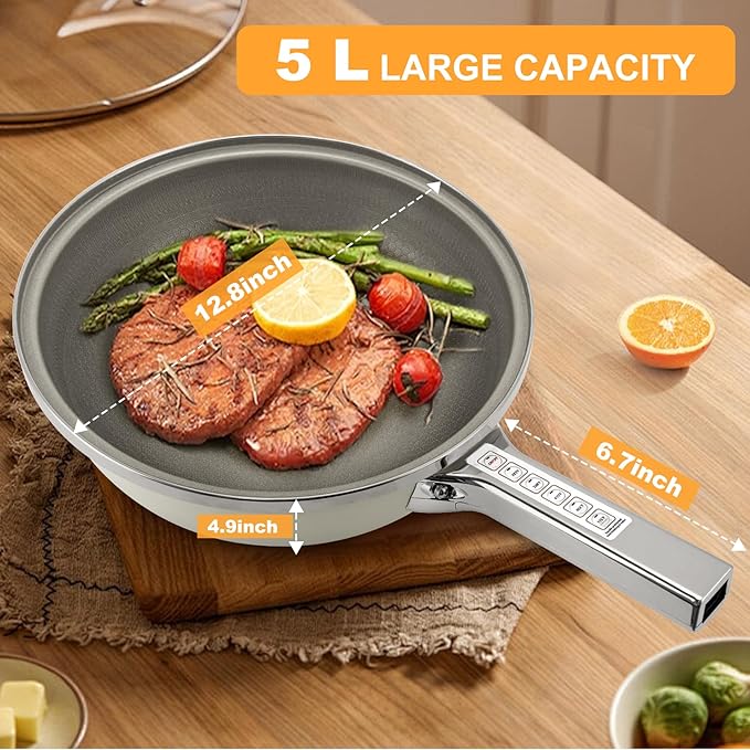 AEWHALE Hot Pot Electric,5L Multifunctional Electric Pot for Cooking,1600W Non-Stick Frying Pans for Steak, Egg, Ramen, Soup with Temperature Adjustment竊?Titanium Stainless
