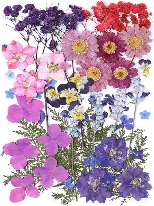 11 Types 46pcs Real Dried Pressed Flowers Leaf Plant Herbarium for DIY Resin Jewelry Making Floral Decors (Purple)
