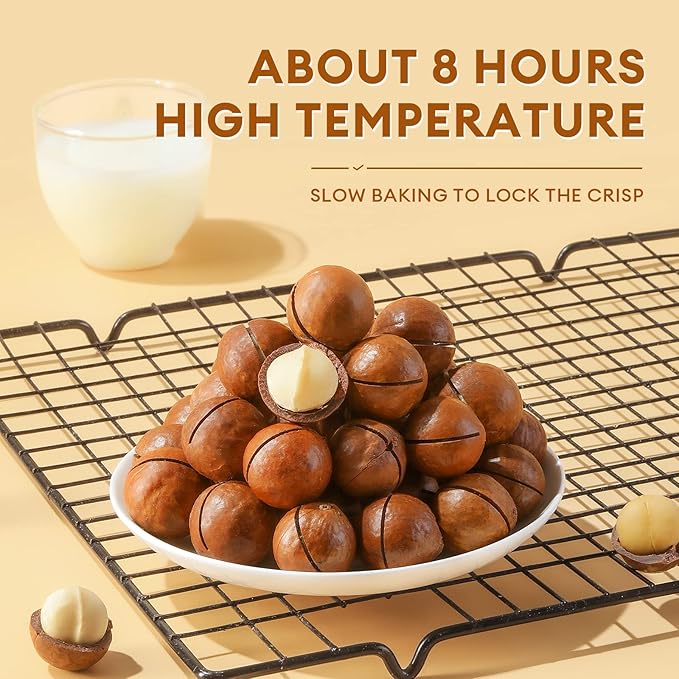BESTORE Premium Whole Macadamia Nut 4 Pack in Shell Hawaiian Creamy Flavor and Nut Openers Healthy Protein Food Snack 16.93 Oz