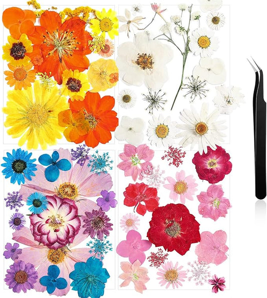 Nuanchu Pressed Flowers Bulk Dried Flower for Crafts, Dried Wildflowers Leave Natural with Tweezer for Resin Mold Scrapbooking Nail Soap Making DIY(Artsy??Style,Diverse Color)