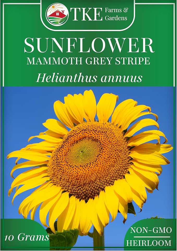 TKE Farms & Gardens - Mammoth Sunflower Seeds for Planting, 100+ Non-GMO Heirloom Seeds, Grow Towering Sunflowers with Giant Yellow Blooms, Includes Easy Instructions for a Stunning Outdoor Garden
