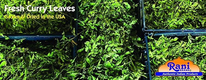 Rani Fresh Curry Leaves 1oz (28g) ~ All Natural | Vegan | Gluten Friendly | NON-GMO | Product of USA