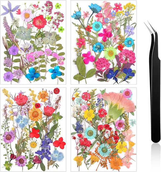 Nuanchu Pressed Flowers Bulk Dried Flower for Crafts, Dried Wildflowers Leave Natural with Tweezer for Resin Mold Scrapbooking Nail Soap Making DIY(Mini Style,Vibrant Color)