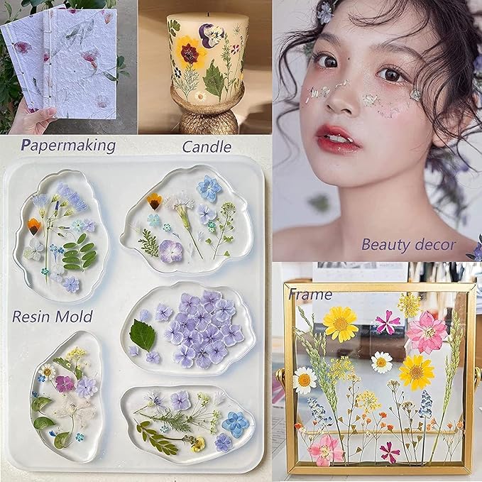 18Types 48PCS Real Dried Purple Pressed Flowers Leaf Plant Herbarium for Crafts Resin Jewelry Making, Floral Cake Decorations-Violet