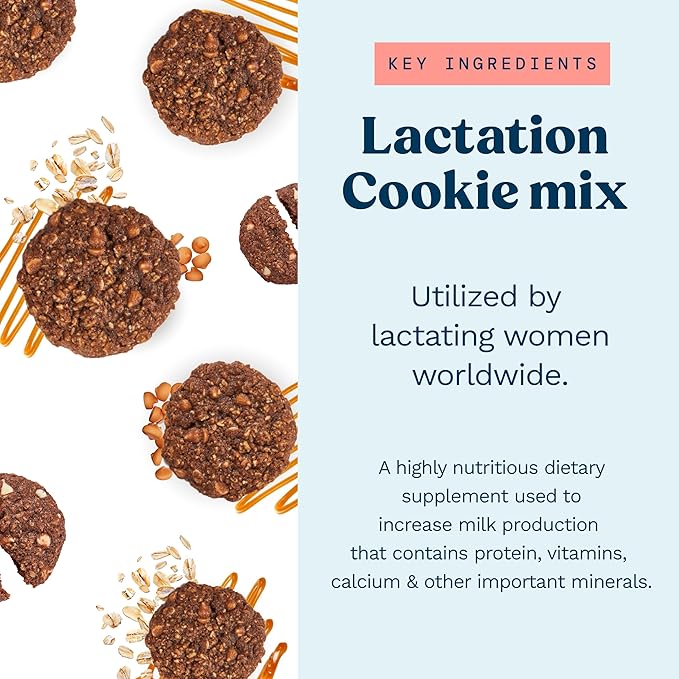 Mommy Knows Best Lactation Cookies Mix - Oatmeal Breastfeeding Cookie Supplement Support for Breast Milk Supply Increase with Flax Seed and Brewers Yeast (Butterscotch) 15oz