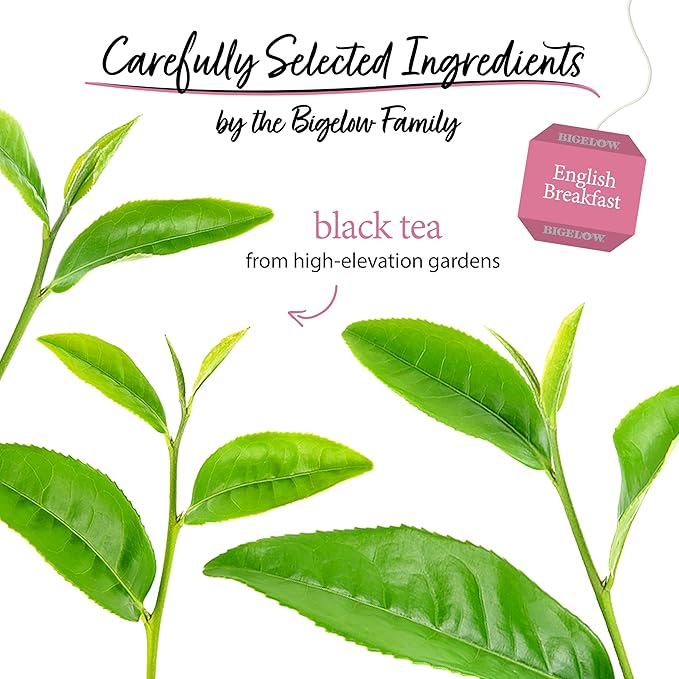 Bigelow Tea English Breakfast Caffeinated Black Tea, 20 Count, Pack of 6