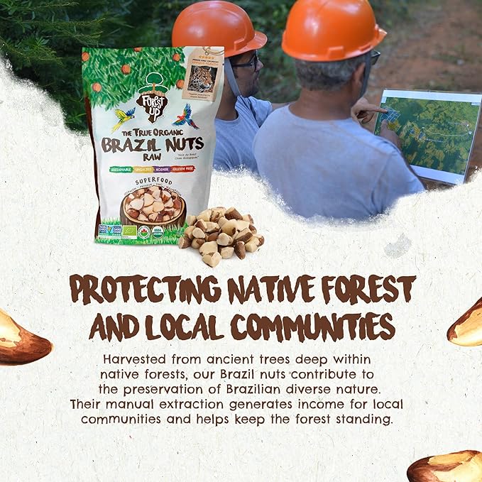 Snack The True Organic Broken Brazil Nuts 32 oz – Raw and Unsalted – Healthy-Rich in Vegetable Protein – Fresh, Vegan and Gluten Free – Forest Up