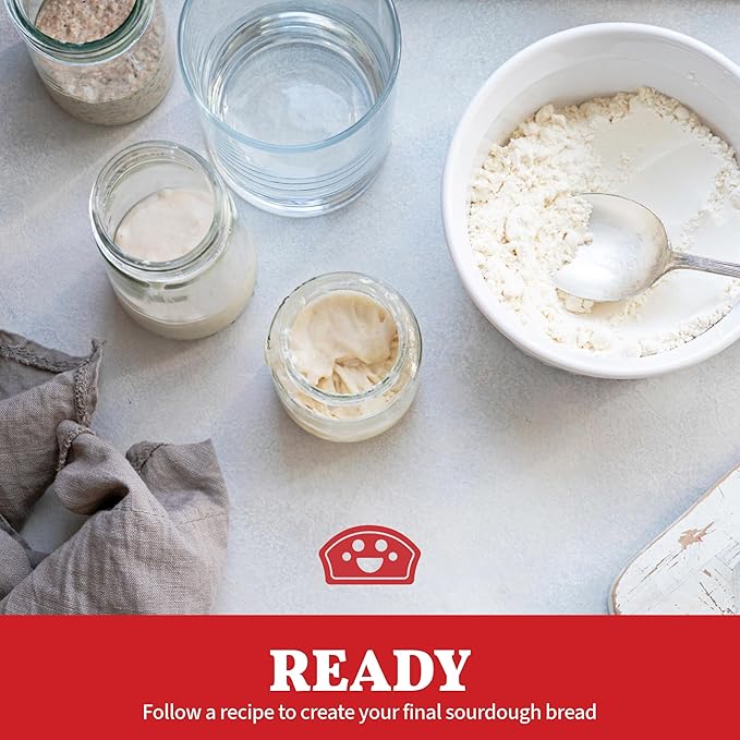 Bakers Club Rapid 24-Hour Sourdough Starter Culture - Makes 5 Batches - Mix, Ferment & Bake Next Day - Tangy Flavor without Weeks of Waiting - Best Dehydrated Sour Dough Starter for Home Bread Bakers