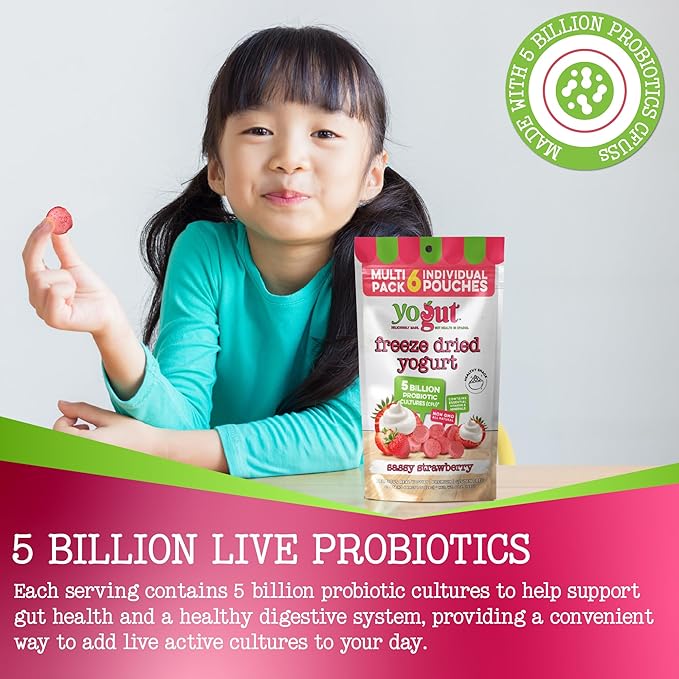 YoGut Freeze Dried Yogurt Snack, Strawberry, 6 Pack, Healthy Snacks for Kids, Toddlers & Adults, Gluten Free, Non GMO, With 5 Billion Live Probiotics, Vitamins & Minerals, Individual Snack Packs