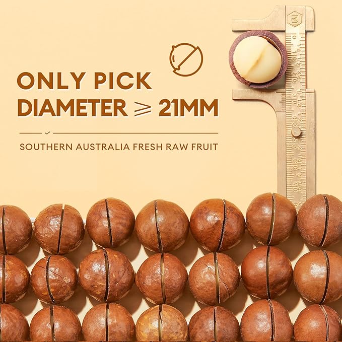 BESTORE Premium Whole Macadamia Nut 4 Pack in Shell Hawaiian Creamy Flavor and Nut Openers Healthy Protein Food Snack 16.93 Oz