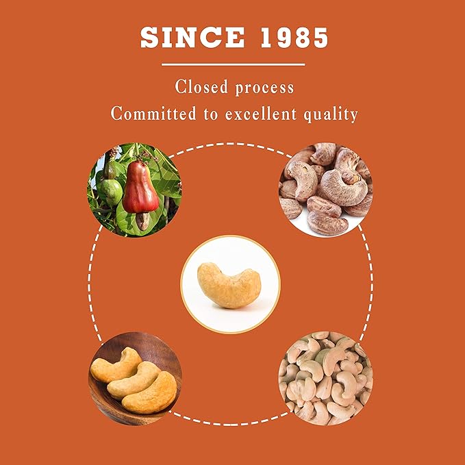 LAFOOCO Honey Roasted Cashews, Sweet Tasty Gourmet, Vietnam Cashew, Rich in Nutrients, Gift for Family, Friend on Celebration, Holiday, Birthday (14.1 oz)