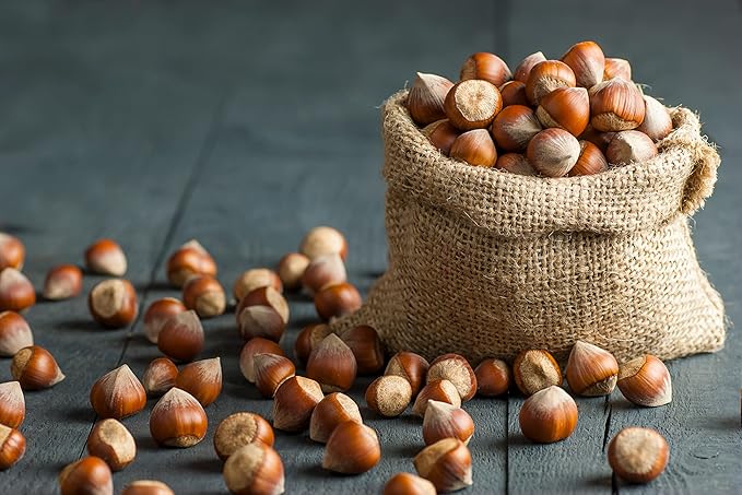 Natural In Shell Raw Oregon Filberts/Hazelnuts (5 Lbs.) - Vegan & Keto Friendly - Super Crunchy & Delicious - Packed with Nutrients - Farm Fresh Nuts Brand