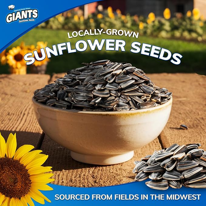 GIANTS Original Sunflower Seeds - Sunflower Seeds to Eat, Sunflower Seeds Bulk, Lightly Salted Sunflower Seeds for Eating, High Protein Snack - 5.75 oz Resealable Bags (Case of 24)