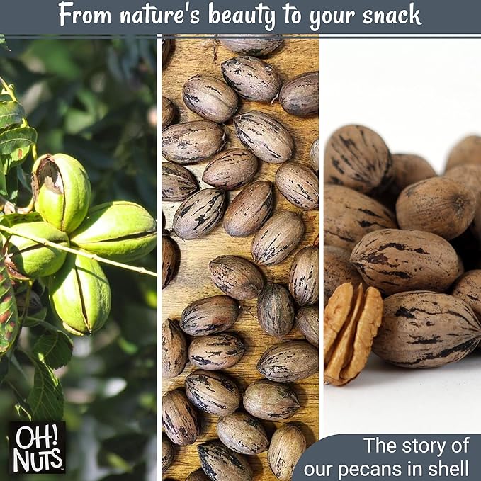 Oh! Nuts Pecans in Shell - Raw - 100% Natural - 2 lb - High-Protein Pecans - Packed in New York Zip-Seal Bag for Exceptional Freshness