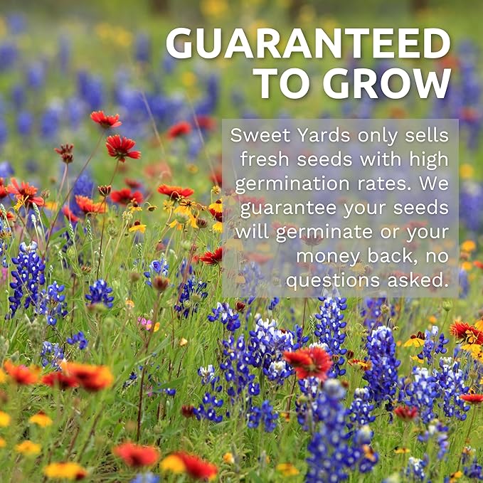 Midwest Regional Mix - Large 1 Ounce Packet - 15,000 Flower Seeds for Planting - Wildflower Mix