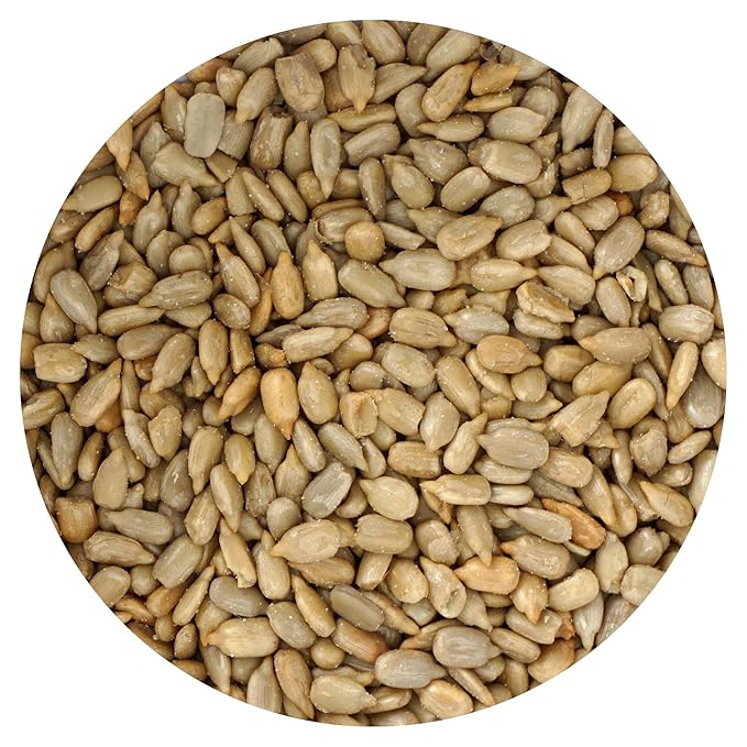 Sunflower Seeds Roasted and Salted, 1 Pound Bag, Sunflower Seeds No Shell, 16 Ounce Bulk Bag