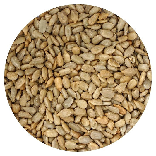 Sunflower Seeds Roasted and Salted, 1 Pound Bag, Sunflower Seeds No Shell, 16 Ounce Bulk Bag