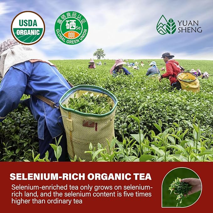 YUANSHENG Selenium Yellow Tea, China Organic tea with Selenium Enriched, 100% Natural Imperial Yellow Tea Loose Leaf, Rich in Antioxidants, Perfect for Gifts, 2.5 Oz