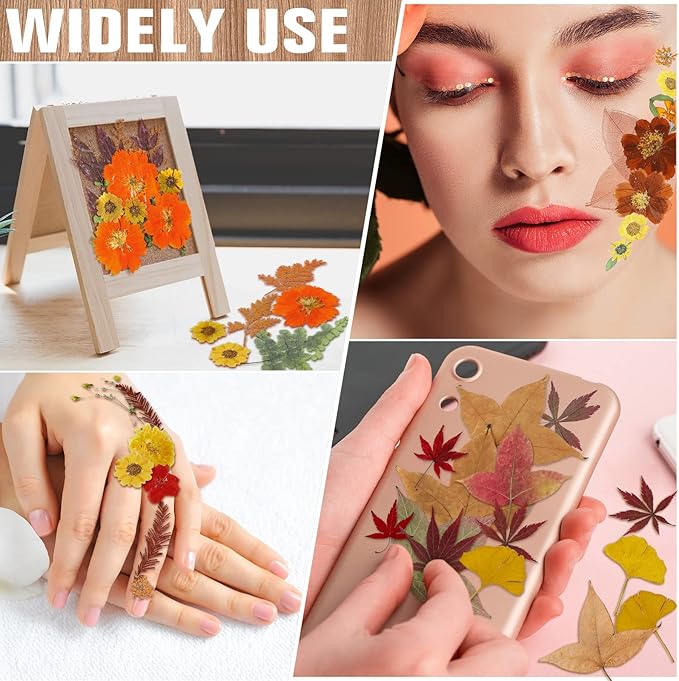 Nuanchu Pressed Flowers Bulk Dried Flower for Crafts, Dried Wildflowers Leave Natural with Tweezer for Resin Mold Scrapbooking Nail Soap Making DIY(Fall Style,Vivid Color)