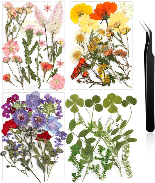 Nuanchu Pressed Flowers Bulk Dried Flower for Crafts, Dried Wildflowers Leave Natural with Tweezer for Resin Mold Scrapbooking Nail Soap Making DIY(Pretty Style,Mild Color)