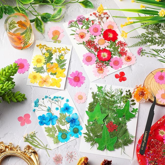 Nuanchu Pressed Flowers Bulk Dried Flower for Crafts, Dried Wildflowers Leave Natural with Tweezer for Resin Mold Scrapbooking Nail Soap Making DIY(Colorful Style,Mixing Color)