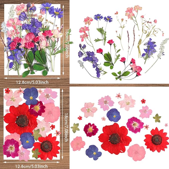 Nuanchu Pressed Flowers Bulk Dried Flower for Crafts, Dried Wildflowers Leave Natural with Tweezer for Resin Mold Scrapbooking Nail Soap Making DIY(Elegant Style,Bright Colors)