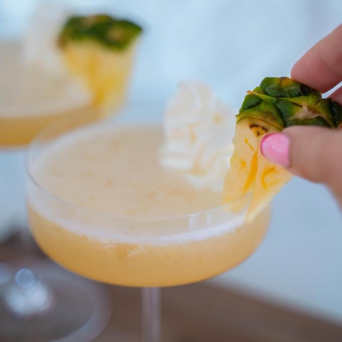 Frozen Cocktail Drink Mix - Makes 10 Rum Punch Slushies - Drink Powder Pouches for Alcohol - All Natural Low Sugar Mixer, No Blender Needed