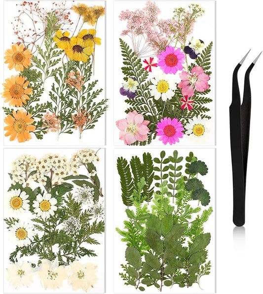 Nuanchu Pressed Flowers Bulk Dried Flower for Crafts, Dried Wildflowers Leave Natural with Tweezer for Resin Mold Scrapbooking Nail Soap Making DIY(Fresh Style,Elegant Color)