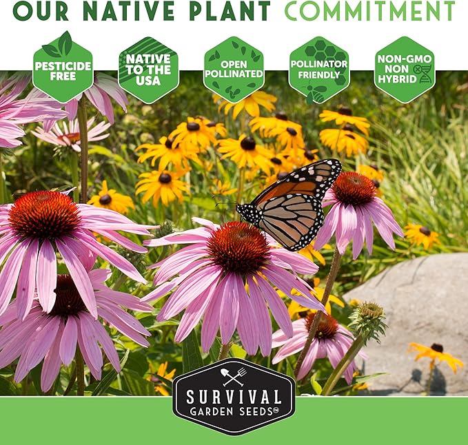 Survival Garden Seeds - Maximilian Sunflower (Helianthus maximiliani) | 10-Foot Prairie Giant | Fall Blooming Pollinator Magnet | North American Native Wildflower Seed for Planting - 1 Pack