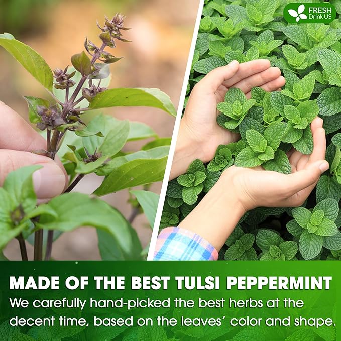 FreshDrinkUS, Premium Tulsi Peppermint Herbal Tea ??55 Tea Bags, 100% Natural, Blend of Tulsi Holy Basil Leaves, and Peppermint Leaves. Made with Natural Material Tea Bags. No Sugar, Vegan.