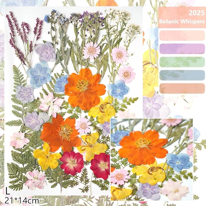13Types 48Pcs Real Dried Pressed Flowers Leaf Plant Herbarium for Crafts Resin Jewelry Making, Baby in Bloom Baby Shower Floral Cake Decorations - Wildflowers