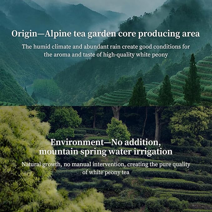 XIXICHA White Peony Tea White Tea Loose Leaf Pai Mu Dan Chinese Tea Peonies Low Caffeine Light & Mild & Smooth Taste 3.52oz/100g 白茶 白牡丹茶