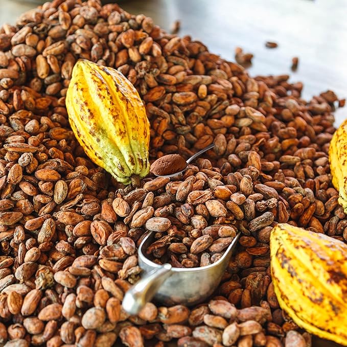 Cocoa Powder Unsweetened, Shifaa Alkalized - Reddish Brown:10-12% | Rich in Antioxidants, High Fibre & Protein | No Sugar Added | Vegan, Non-GMO | Halal & Kosher | For Baking, Drinks, Desserts ??10oz