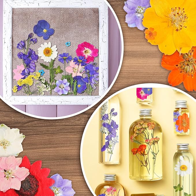 Nuanchu Pressed Flowers Bulk Dried Flower for Crafts, Dried Wildflowers Leave Natural with Tweezer for Resin Mold Scrapbooking Nail Soap Making DIY(Elegant Style,Bright Colors)