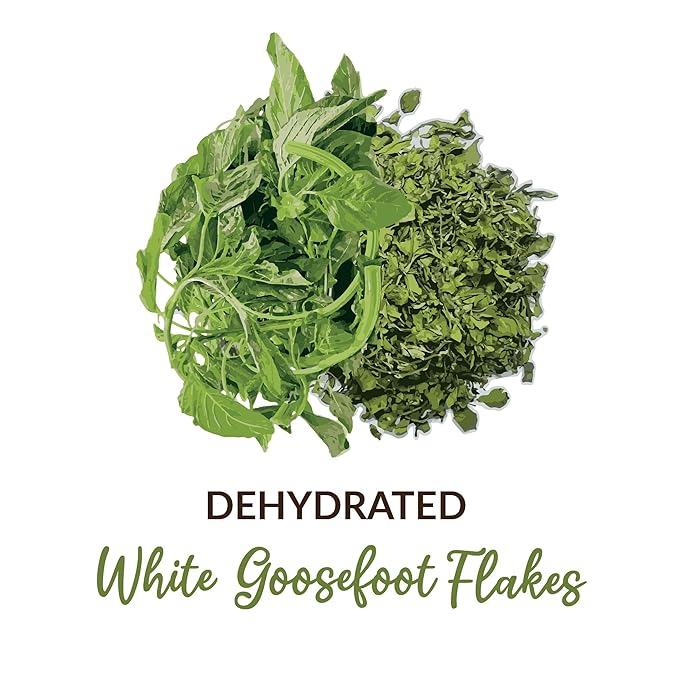 SHROOTS Dehydrated Bathua Leaves Flakes Pure Vegetarian Gluten-Free No Added Salt Easy Cooking Essential Machine Dried Vegetables with Natural Aroma Ideal for Soup or Everyday Meals 1.06 oz, Pack of 1