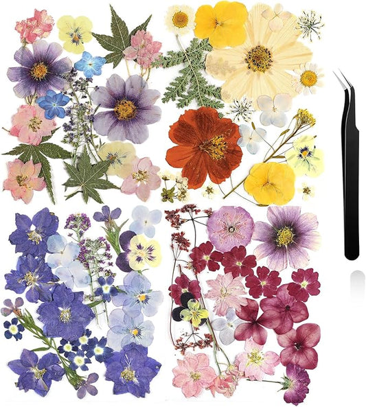 Nuanchu Pressed Flowers Bulk Dried Flower for Crafts, Dried Wildflowers Leave Natural with Tweezer for Resin Mold Scrapbooking Nail Soap Making DIY(Fashion Style,Trend Color)