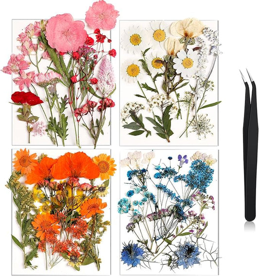 Nuanchu Pressed Flowers Bulk Dried Flower for Crafts, Dried Wildflowers Leave Natural with Tweezer for Resin Mold Scrapbooking Nail Soap Making DIY(Trendy Style,Blend Color)